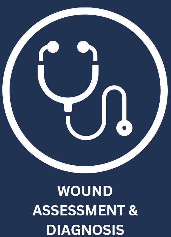 This image has an empty alt attribute; its file name is image_2024-10-09_095124255.png